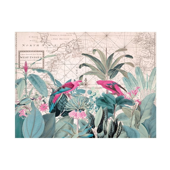 Trademark Fine Art Andrea Haase Exotic Wildlife 006 1 Canvas Wall Art