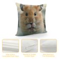 thumbnail image 4 of Pratyus Cute Hamster Modern Rustic Decorative Couch Pillow Cases with Zipper Home Decor Mother's Day Autumn Theme Printed on Both Sides 1PC 18x18in, 4 of 5