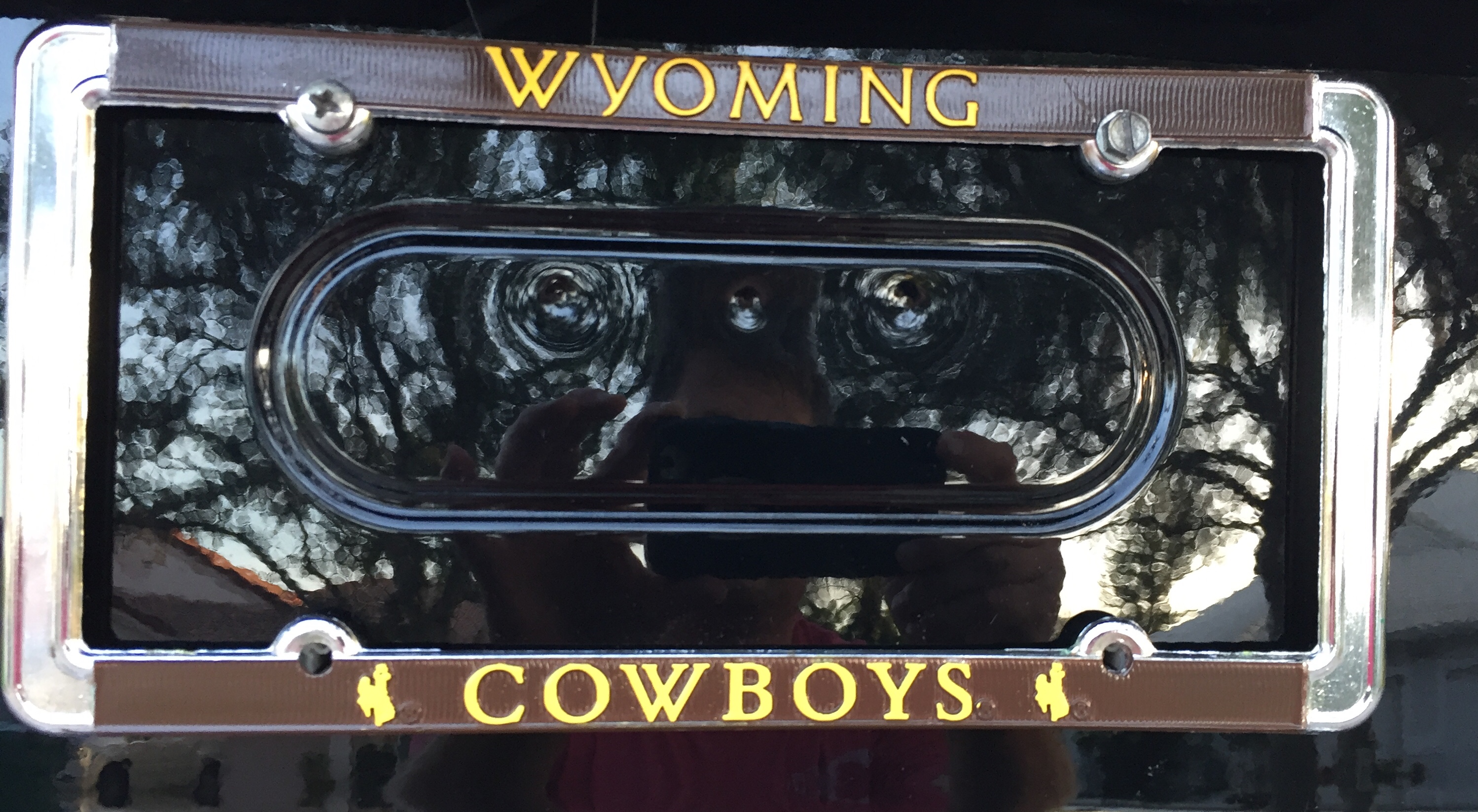 Dallas Cowboys Chrome Metal License Plate Frame – 6.25″ X 12.25″ – NFL Tag Cover