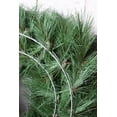 thumbnail image 4 of 24" Faux Mixed PIne, Cedar, Juniper, Cypress and Pinecone Wreath - Christmas Holiday Winter Front Door Hanger, 4 of 6