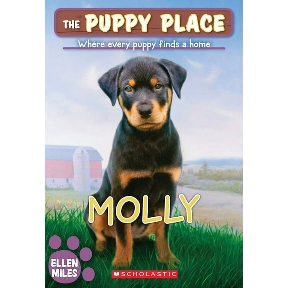 Puppy Place Molly (the Puppy Place #31): Volume 31, (Paperback)