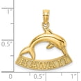 thumbnail image 3 of 14K Yellow Gold Hawaii Dolphin Charm (21.35 X 21.2) Made In United States k7911, 3 of 5