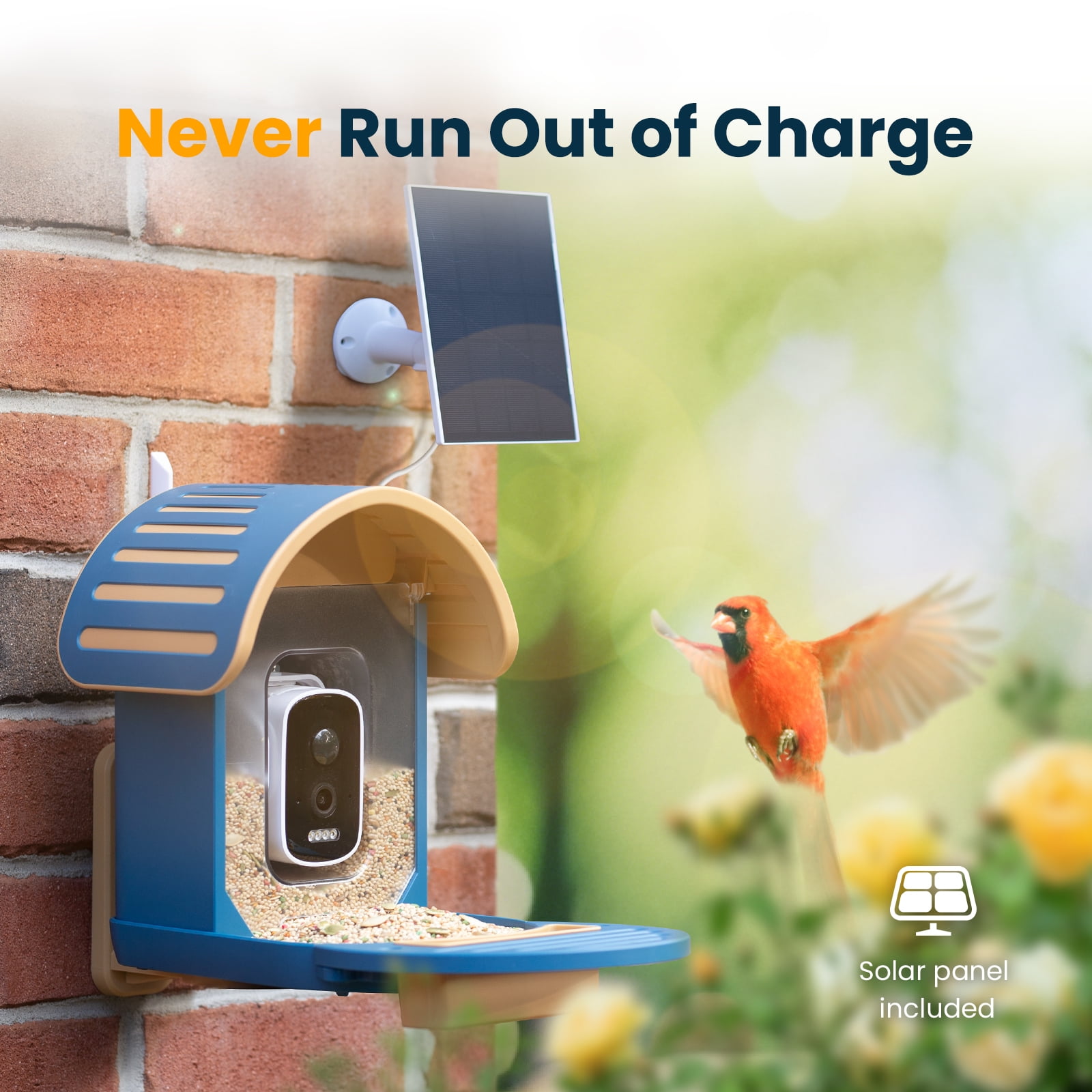 VINGUYS Bird Feeder with Camera and Smart AI Identification, Solar Powered IP66 Waterproof for Outdoor Birding, Blue