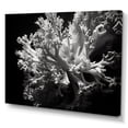 thumbnail image 2 of Designart "Monochrome Anemone Reef III" Coastal Coral Under Water Wall Art Living Room, 2 of 7