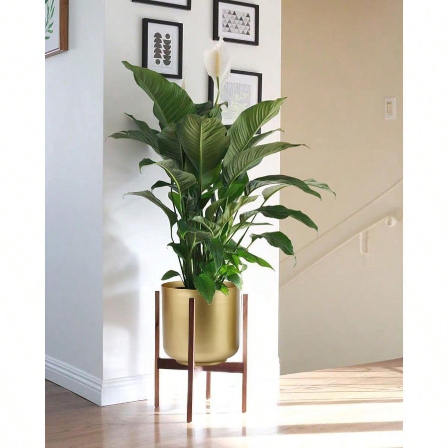 Large Gold Planters Metal Aloe Brass-Tone Plant Pots Indoor Decorative Flower Pots with Drain Holes 8+7.1Inch