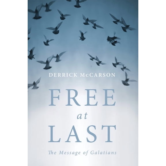 Free at Last (Paperback)