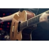 LAMINATED POSTER Guitarist Guitar Instrument Poster Print 24 x 36