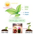 thumbnail image 5 of Lámparas de cultivo Led YONGSHENG luz de plantación interior cubierta Transparente Pc plegable ajustable Espectro completo, 5 of 5