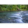 thumbnail image 2 of Jaynes Gallery 14x11 Black Ornate Wood Framed with Double Matting Museum Art Print Titled - USA-Washington State-Olympic National Forest Rapids on Duckabush River, 2 of 4