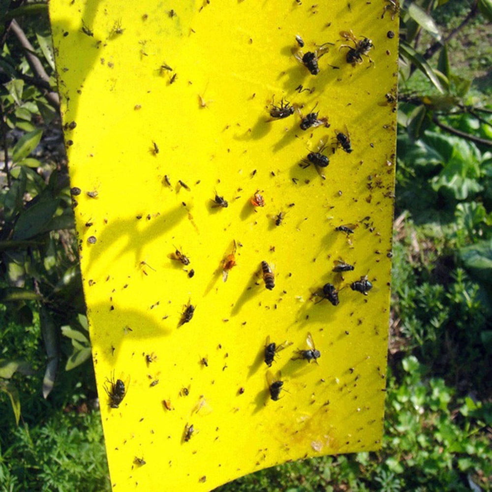 20X Yellow Sticky Glue Paper Insect Trap Catcher Killer Fly Bugs Aphids Wasp New 