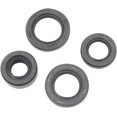 thumbnail image 1 of Winderosa Engine Oil Seal Kit 822212, 1 of 3