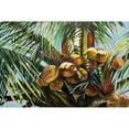 thumbnail image 3 of Wilkins, Suzanne 18x13 Black Modern Framed Museum Art Print Titled - Los Cocos, 3 of 5
