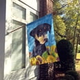 thumbnail image 2 of Carolines Treasures SC9073CHF Doberman Flag Canvas House Size, 2 of 4