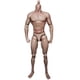 thumbnail image 2 of Figura de AccióN de MuñEca de Cuerpo Masculino de Hombro Estrecho una Escala 1/6 para TTM18 TTM19 Hot Toys y Modelo de Boceto de Cuerpo Humano, 2 of 5