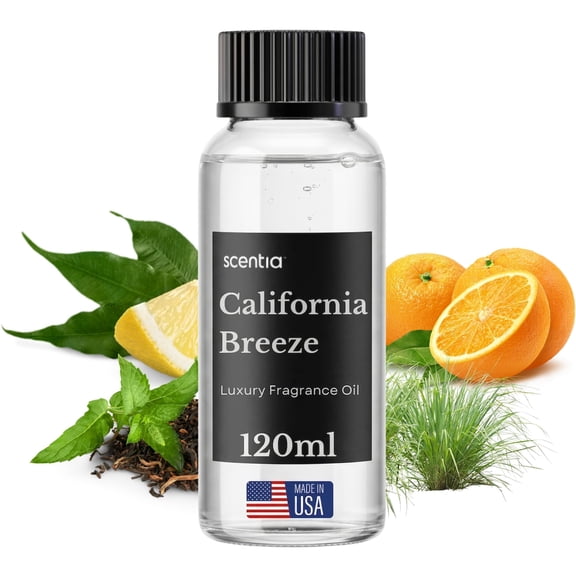 Scentia Luxury Fragrance Oil Inspired by The Delano Beach Club Hotel Scent - 120 mL 4.06 fl oz - Essential Oil Blend Orange, Green Tea for Aromatherapy Diffusers - California Breeze, Summer Scent