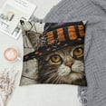 thumbnail image 2 of PHYHOO Halloween Throw Pillow Cover  Cat Decorations Farmhouse Decorative Cushion Case Decor Autumn for Home Sofa Couch, 2 of 5