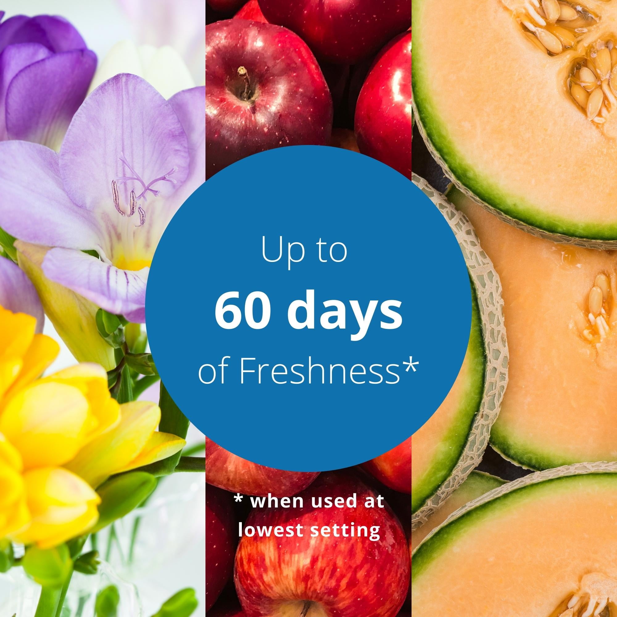 Great Value Scented Oil Warmer Air Freshener & Linen Fresh Starter Kit
