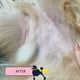 thumbnail image 4 of Bálsamo para la piel del perro Finn Skin Hero Revitalizing 50 ml, 4 of 7