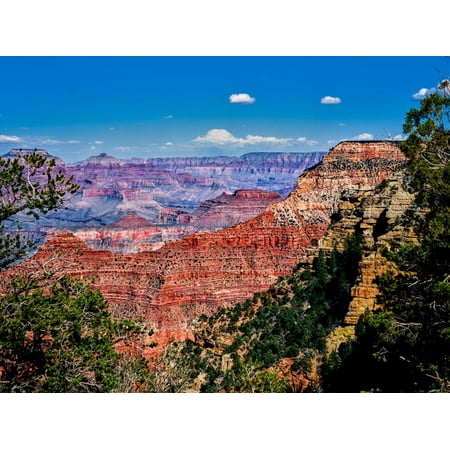 Elevated view of the rock formations in a canyon, Yavapai Point, South Rim, Grand Canyon Nationa... Print Wall (Best Rim To Visit Grand Canyon)
