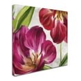 thumbnail image 2 of Trademark Fine Art 'Open Arms I' Canvas Art by Color Bakery, 2 of 3