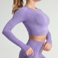 thumbnail image 2 of Mujeres Yoga Crop Top O Cuello Manga larga Puntos Bodycon, 2 of 6