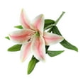 thumbnail image 2 of Clearance! Artificial Tiger Flowers Real Latex Lilies Flowers Artificial Bouquet Faux Latex with Rods for Home Decoration Wedding, 2 of 6