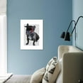 thumbnail image 2 of Graduation French Bulldog, Animals Unframed Art Print Wall Art by Fab Funky Sold by Art.Com, 2 of 4