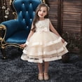 thumbnail image 3 of Falda de malla de verano para niña, dulce princesa, falda de pastel, vestido de pasarela, ropa de actuación de piano, 3 of 6