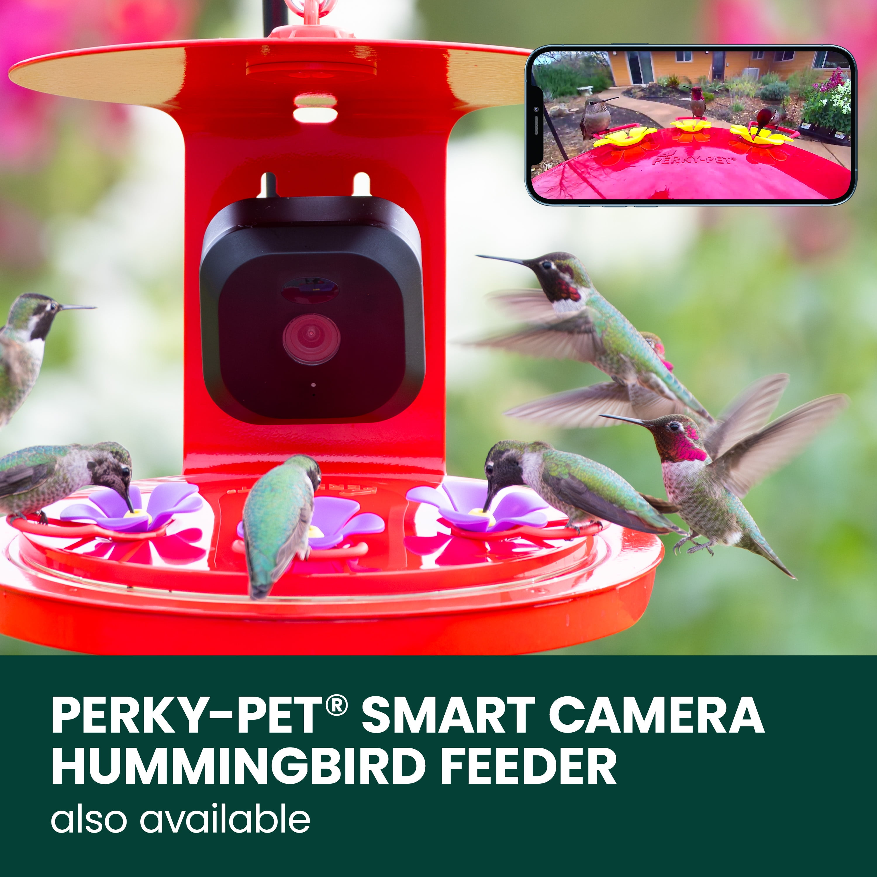 Perky-Pet Solar Powered Smart Bird Feeder with Camera