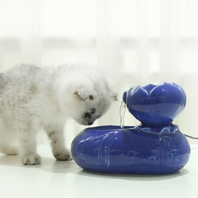 Jacenvly - Dispensador de agua eléctrico de cerámica para mascotas, ideal para el Día de la Madre, regalo para mujeres, hombres, mamás, niñas, niños y adolescentes.