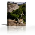 thumbnail image 1 of Ring-tailed Lemur, near Andringitra Mountains, Madagascar - Contemporary Fine Art Giclee on Canvas Gallery Wrap - wall décor - Art painting - 24 x 36 Inch - Ready to Hang, 1 of 2