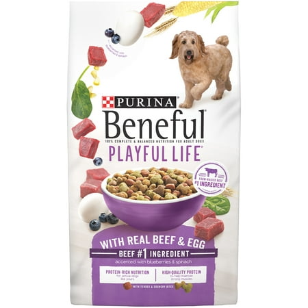 UPC 017800126267 product image for Purina Beneful Dry Dog Food, Playful Life With Real Beef & Egg Accented With Blu | upcitemdb.com
