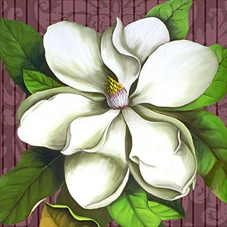 Square Magnolia Stripe 24x24 Giclee Shell Art Print Floral Poster Decorative by Jill Meyer POD