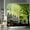 Black and Green, variant on Fall Thanksgiving Shower Curtain Yellow Trees Natural Scenery Harvest Leaf Grateful Plants Farmhouse Shower Curtains for Countryside Bathroom Waterproof Polyester with Hooks 84x72 Inches