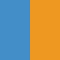 Blue|Gold