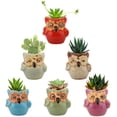 thumbnail image 1 of 6 piezas de macetas de plantas suculentas, Mini búho, maceta de cerámica para flores, bonsái en maceta, regalo de Cactus, decoración de ventanas para mesa de oficina en casa brillar Electrónica, 1 of 5