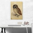 thumbnail image 2 of ARTCANVAS The Little Owl-1506 Canvas Art Print by Albrecht Durer - Size: 26" x 18" (1.50" Deep), 2 of 9