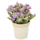 thumbnail image 4 of Planta en maceta con margaritas artificiales, simulación de maceta con margaritas artificiales, maceta con margaritas artificiales, compacta y ligera, 4 of 12