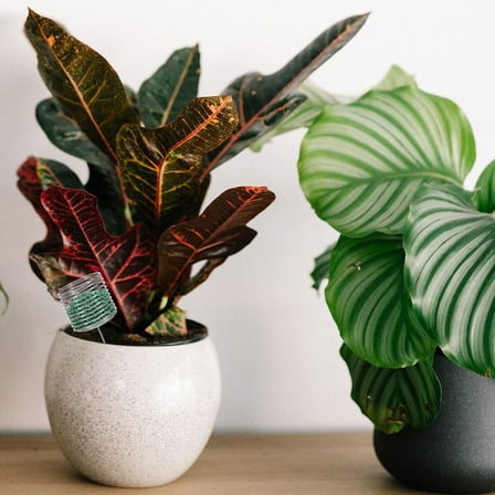 PBPBOX 12Pcs Stainless Steel Bonsai Fertilizer Basket Slow Release Nutrition Cups for Plant Care