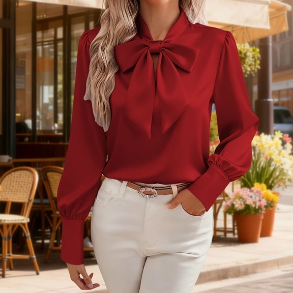 Dress Shirts for Women Formal Casual Bow Tie V-Neck Long Sleeve with Cuff Office Work Blouses