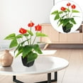 thumbnail image 4 of 1 planta artificial de anturio, bonsái, planta falsa en maceta, decoración del hogar, 4 of 6