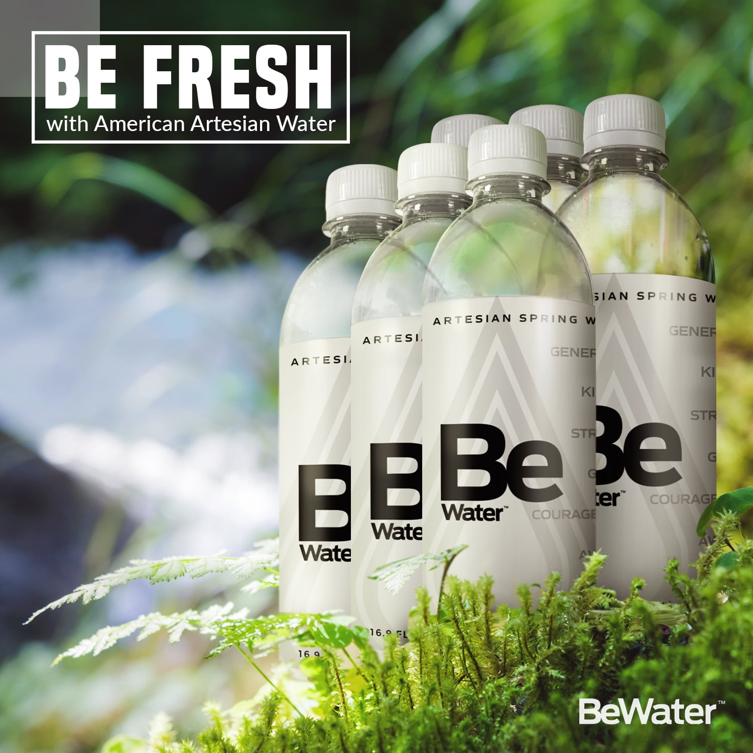 Be Water Artesian (Case of 6) Natural Alkaline North Carolina Wells & Pure Artisanal Springs - Ionized Premium Bottled Drinking BPA Free Hydration