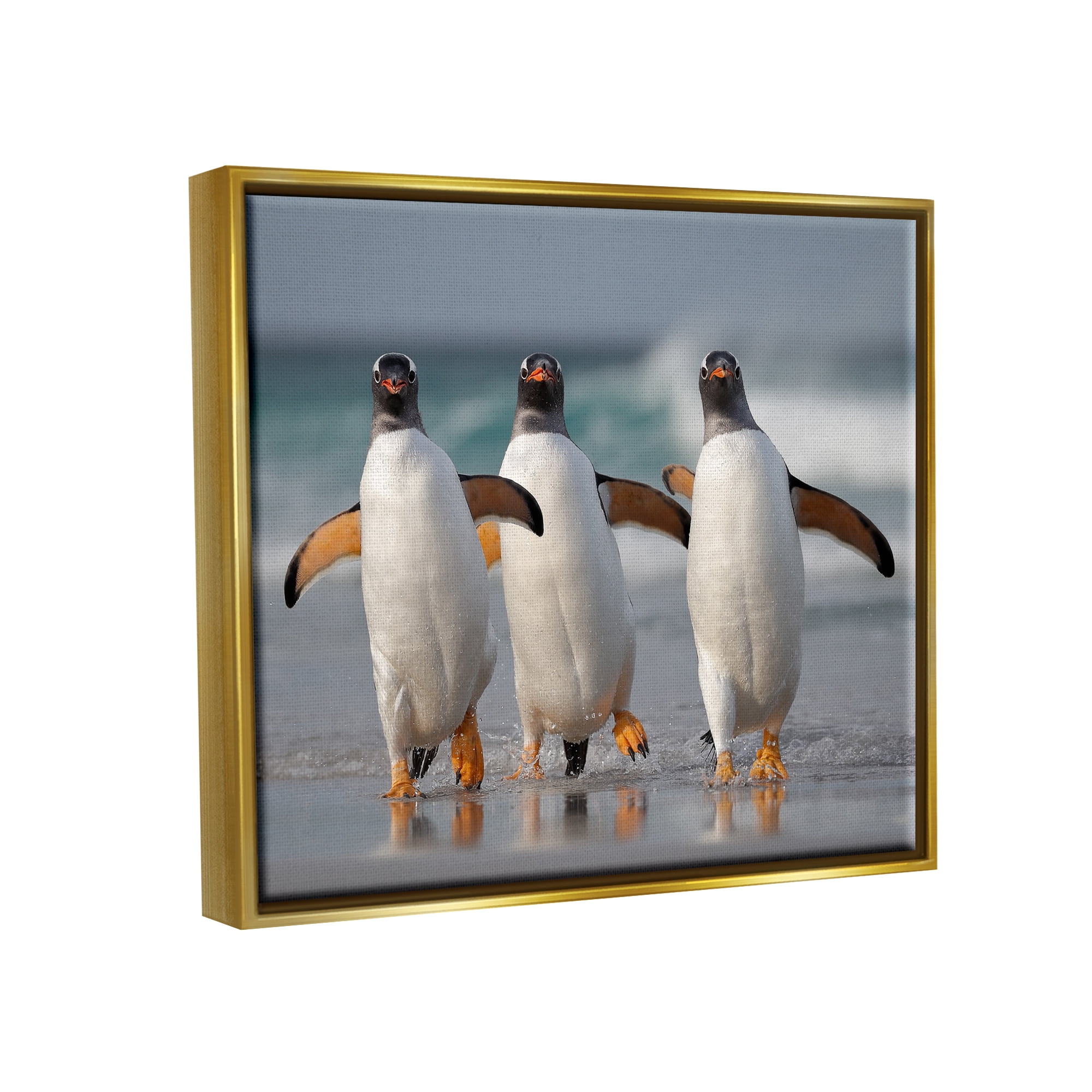 Stupell Industries Penguin Trio on Beach Animals & Insects Photography Gold Floater Framed Canvas Art Print Wall Art, 21 x 17
