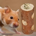 thumbnail image 3 of Hamster Rest Tunnel, Ferret Gerbils Hamster Tunnel, For Hamster S, 3 of 8