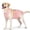 Pink, variant on HQREA Breathable Dog Recovery Suit Female Male Dog Post-Operative Clothing for Neuter After Surgery Pet Protective Gown for Medium Large Dogs