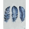 thumbnail image 2 of Pinto, Patricia 20x24 Black Ornate Wood Framed with Double Matting Museum Art Print Titled - Indigo Blue Feathers II, 2 of 4