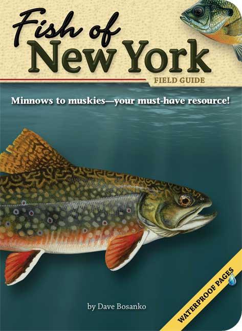 Fish Of...: Fish of New York Field Guide (Paperback) - Walmart.com