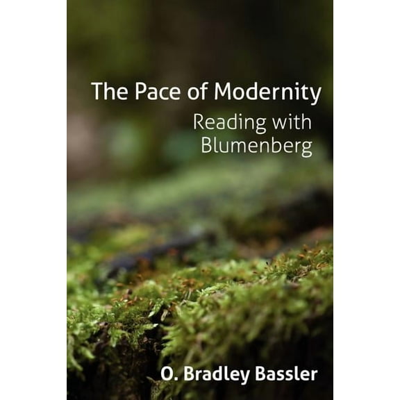 Anamnesis: The Pace of Modernity (Paperback)