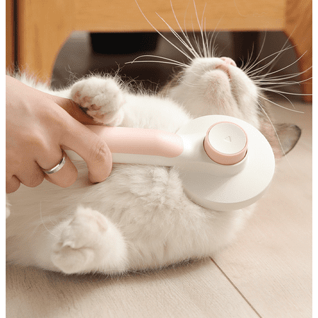 Brosse A Cheveux Pour Chat Et Chien Peigne De Toilettage Pour Animaux De Compagnie Peigne A Nœud Ouvert Peigne De Decoloration Pour Animaux De Compagnie Bleu Walmart Canada Brosse A Cheveux Pour Chat Et Chien Peigne De Toilettage Pour Animaux De Compagnie Peigne A Nœud Ouvert Peigne De Decoloration Pour Animaux De Compagnie Bleu Walmart Canada