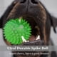 thumbnail image 4 of Juguete para perros LECHONG Squeaky Spiky Ball, paquete de 12 unidades, para masticadores agresivos, 4 of 7